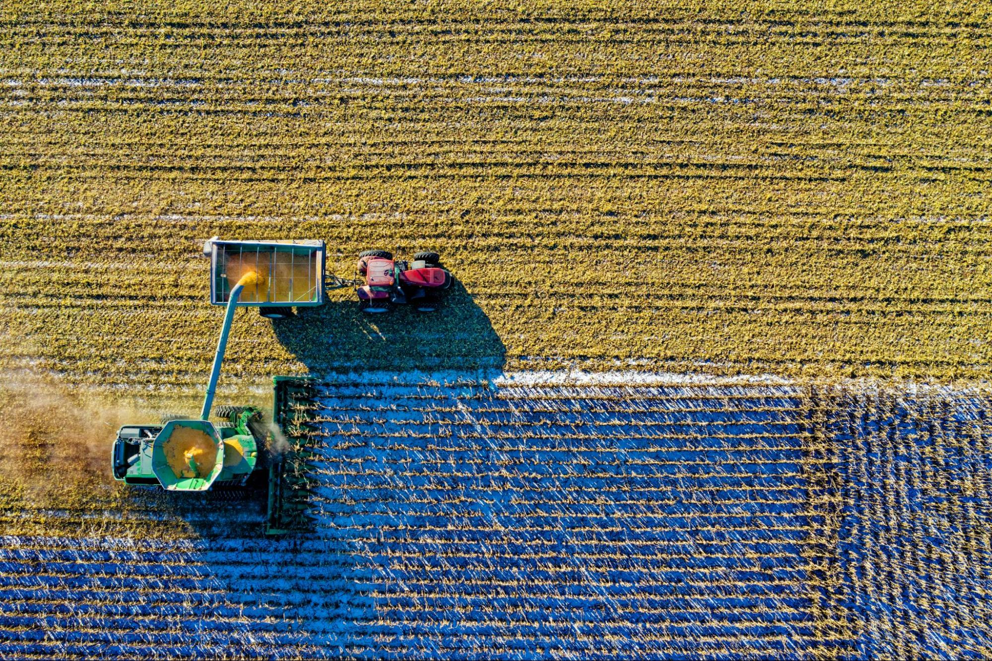 inteligência artificial no agronegócio